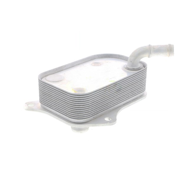 Oljekylare, motor