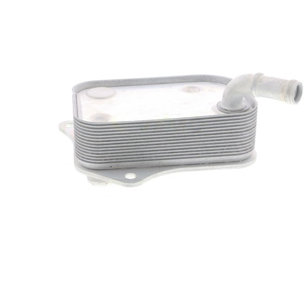 Oljekylare, motor