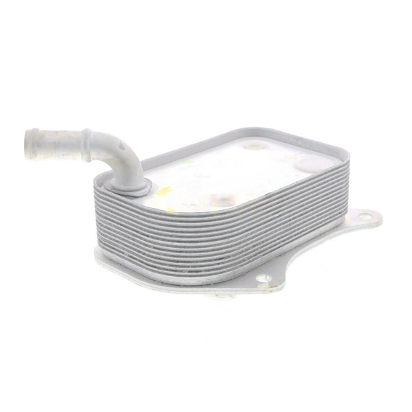 Oljekylare, motor