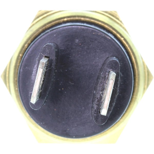 Temperaturswitc, EGR Temperaturswitc, EGR
