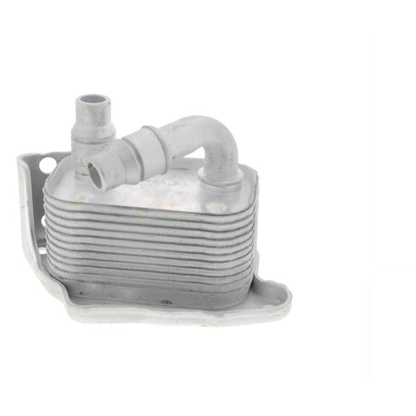 Oljekylare, motor