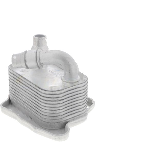 Oljekylare, motor