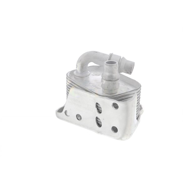 Oljekylare, motor