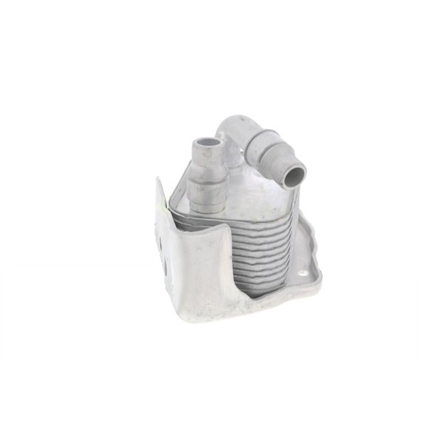 Oljekylare, motor