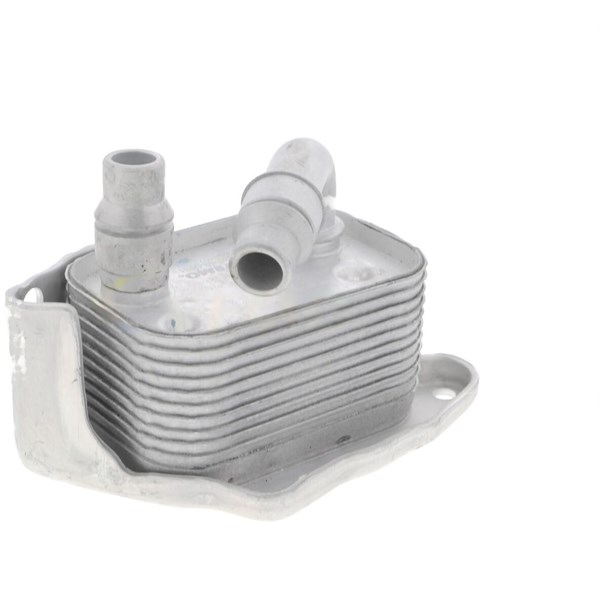 Oljekylare, motor