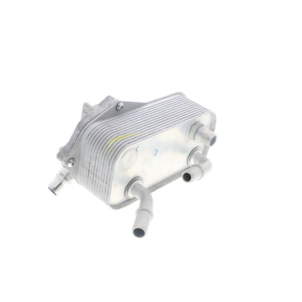 Oljekylare, automatisk transmission