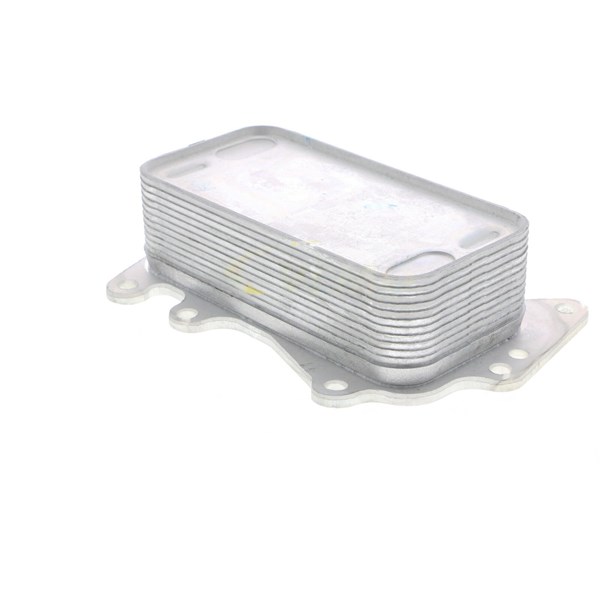 Oljekylare, motor