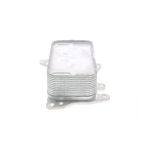 Oljekylare, motor