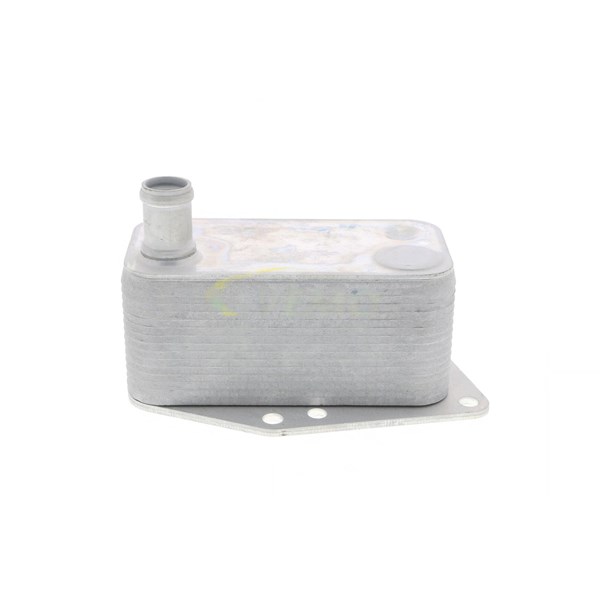 Oljekylare, motor