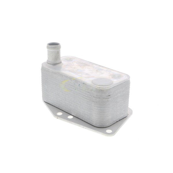 Oljekylare, motor