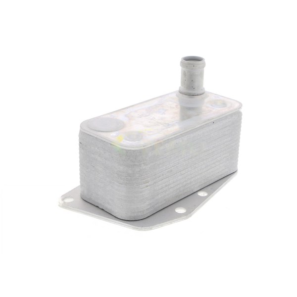 Oljekylare, motor