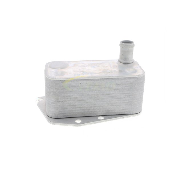 Oljekylare, motor