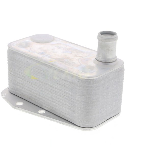 Oljekylare, motor