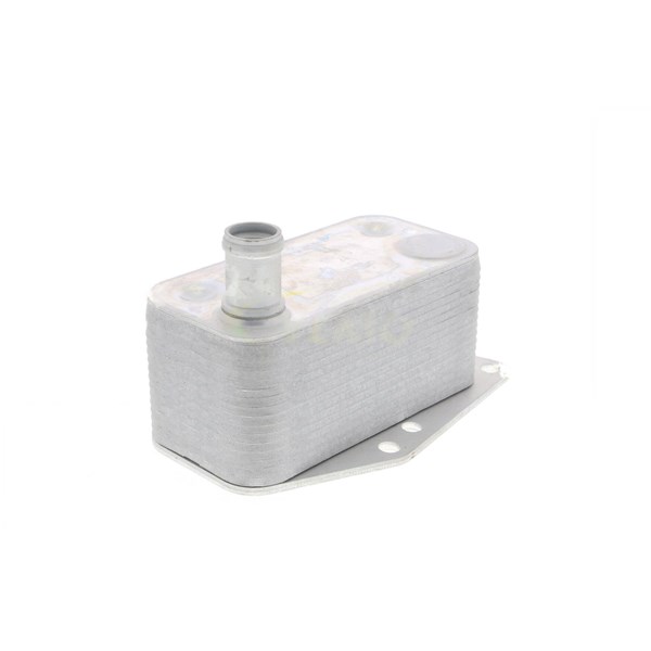 Oljekylare, motor