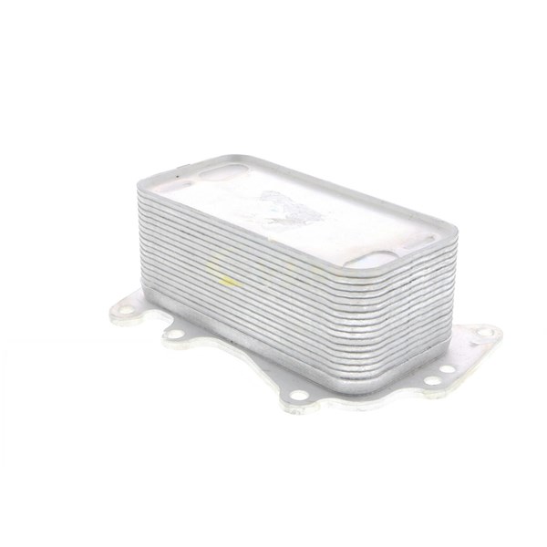 Oljekylare, motor