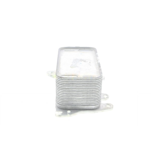 Oljekylare, motor