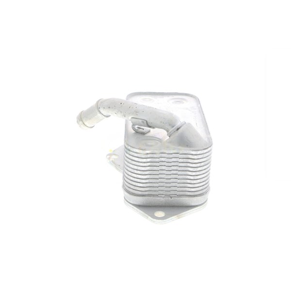Oljekylare, motor