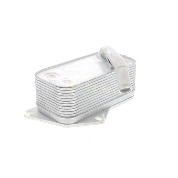 Oljekylare, motor