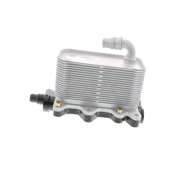 Oljekylare, motor