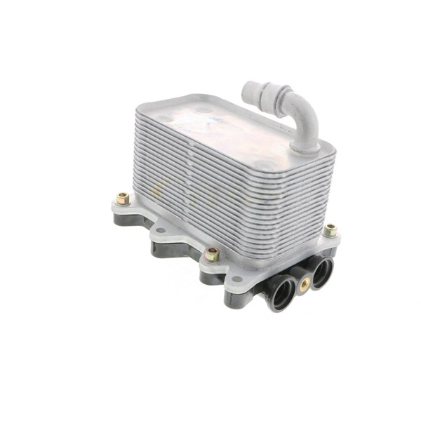 Oljekylare, motor