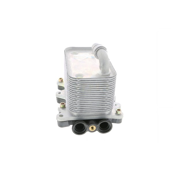 Oljekylare, motor