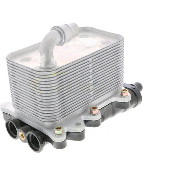 Oljekylare, motor