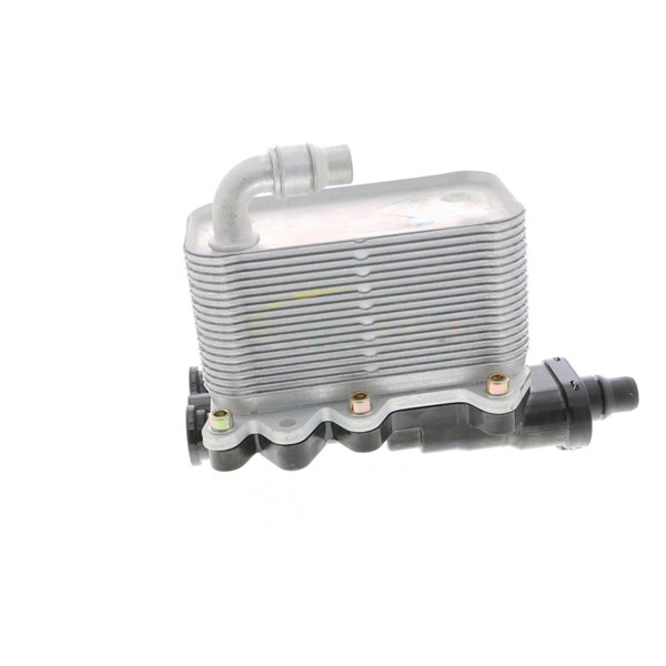 Oljekylare, motor