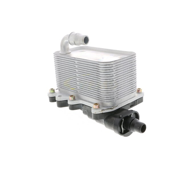 Oljekylare, motor