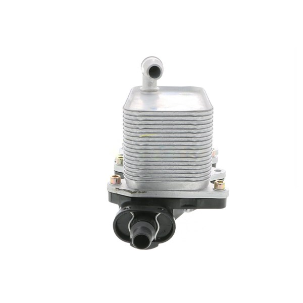 Oljekylare, motor