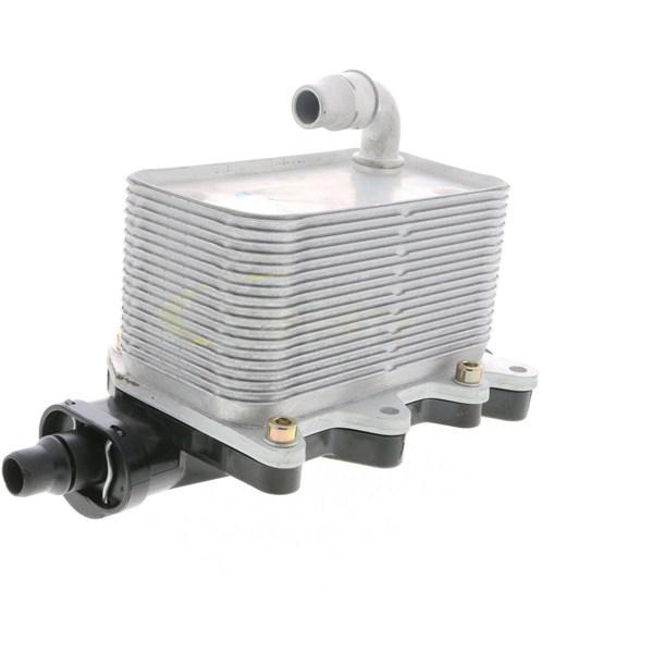 Oljekylare, motor
