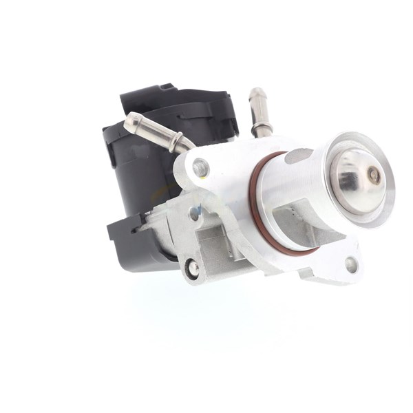Egr-ventil 12V