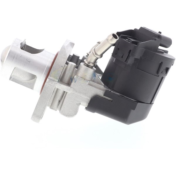 Egr-ventil 12V