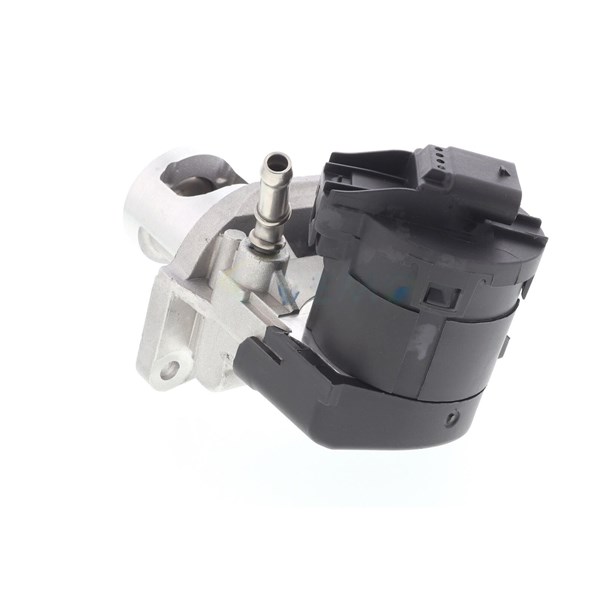 Egr-ventil 12V