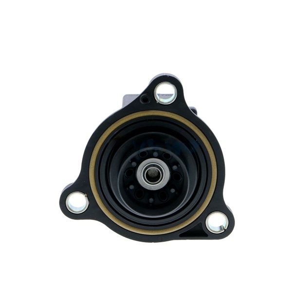 Wastegate 12V