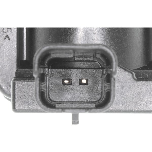 Wastegate 12V