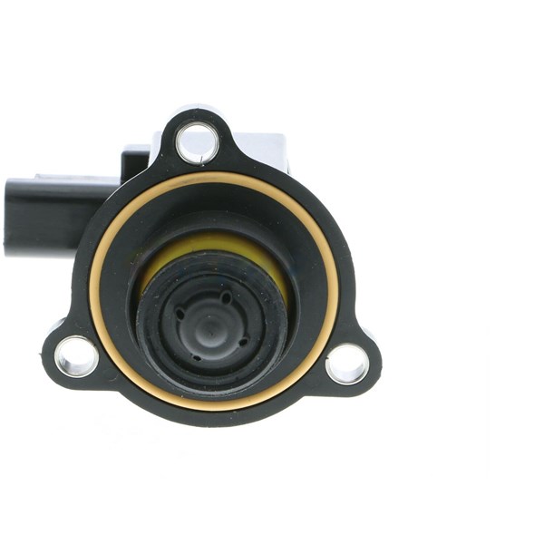 Wastegate 12V