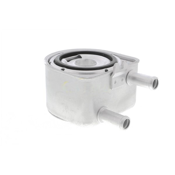 Oljekylare, motor