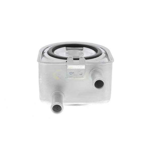 Oljekylare, motor