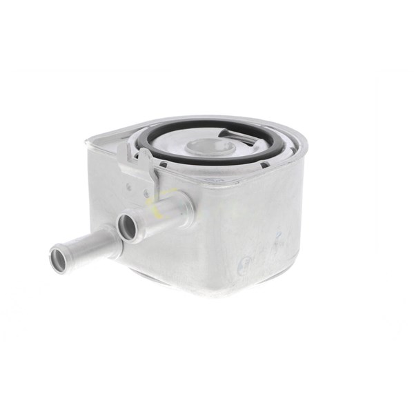 Oljekylare, motor