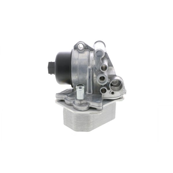 Oljekylare, motor