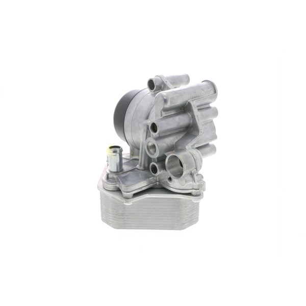 Oljekylare, motor