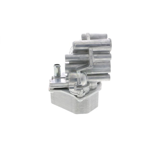 Oljekylare, motor