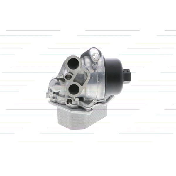 Oljekylare, motor