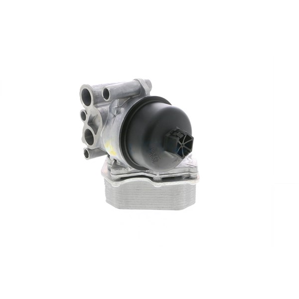 Oljekylare, motor