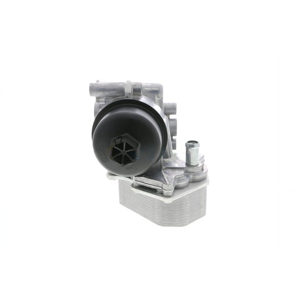 Oljekylare, motor