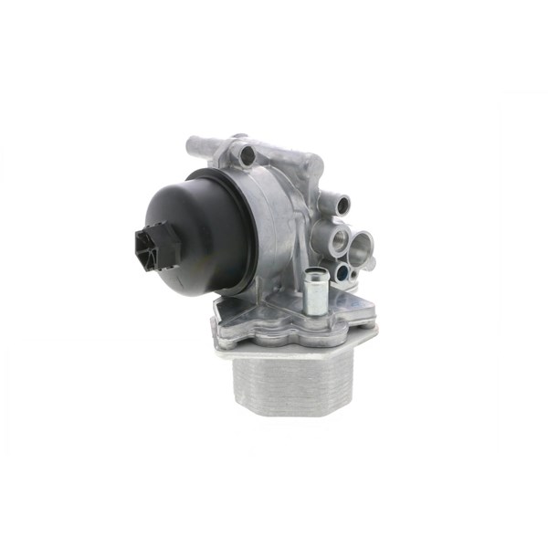 Oljekylare, motor