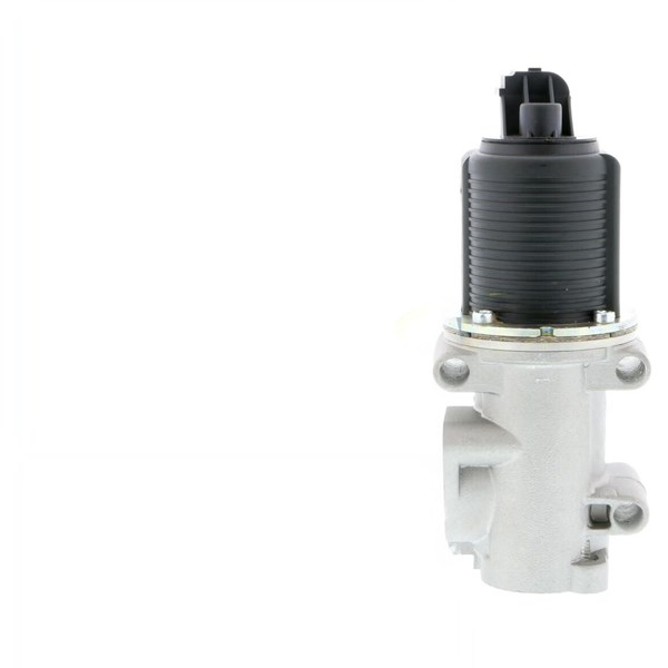 Egr-ventil 12V VEMO