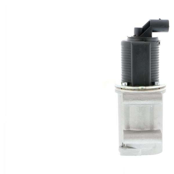 Egr-ventil 12V VEMO