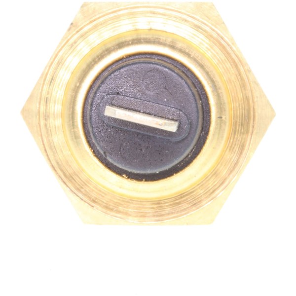 Kylvätsketemperatur-sensor