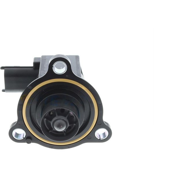 Wastegate 12V